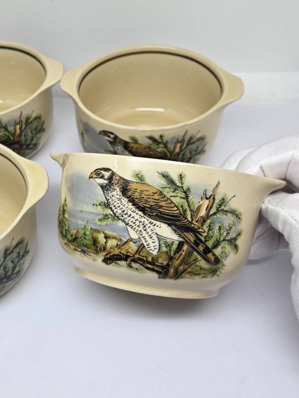 Colditz Porcelain, E. Germany Soup Bowls, Falcon Images, Set of 4, 1970-1990